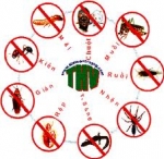 Cách đuổi muỗi - Diệt gián đơn giản - Hiệu quả