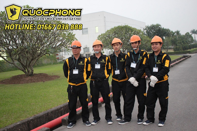 DIỆT MUỖI TẬN GỐC- 2000Đ/NGÀY - YÊN TÂM CẢ NĂM