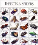 Diệt Muỗi Vào Lúc Nào