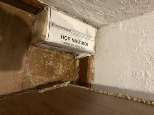 Diệt mối tận gốc